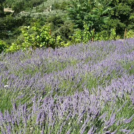 Le Mille Fleurs *