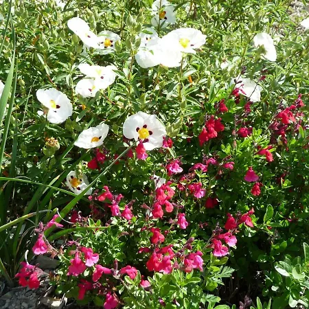 Le Mille Fleurs Holiday home