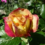 Feriehus Le Mille Fleurs Aubres