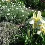 Feriehus Le Mille Fleurs *