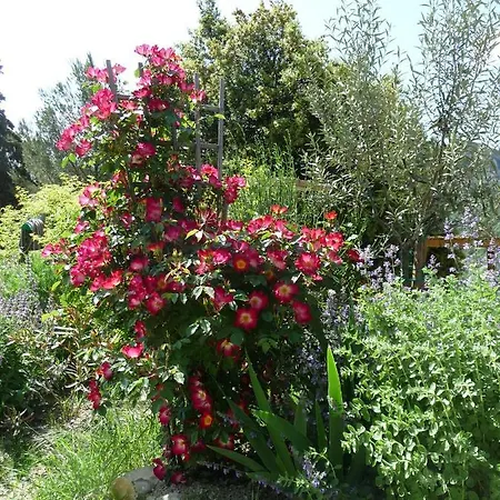 Le Mille Fleurs Holiday home