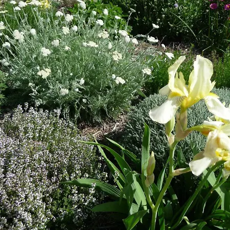 Holiday home Le Mille Fleurs *