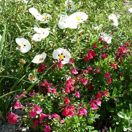 Le Mille Fleurs Holiday home