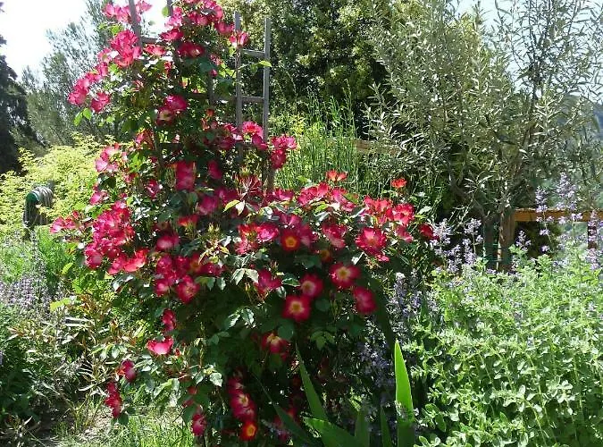 Le Mille Fleurs Hébergement de vacances