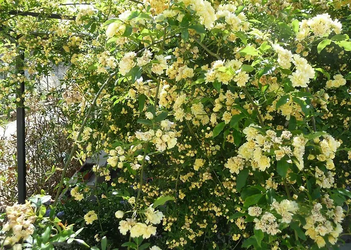 Hébergement de vacances Le Mille Fleurs