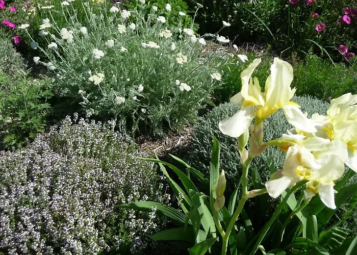 Hébergement de vacances Le Mille Fleurs *